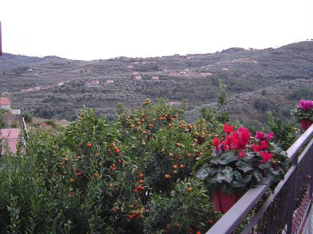 B&B Ca' De Pippu Diano Castello Exterior foto
